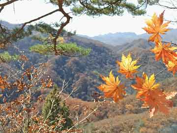 安吉实时天气预报与日照巴黎名城最新消息解读