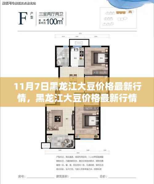 黑龙江大豆价格最新行情报告(11月7日版),深度分析与解读