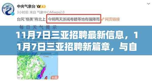 新闻中心 第390页