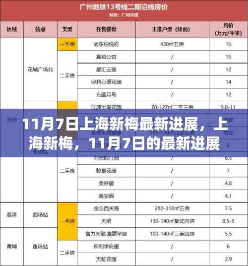 上海新梅最新进展揭秘,深远影响与动态分析(11月7日更新)