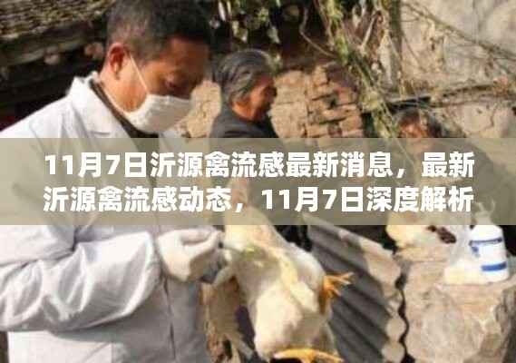 沂源禽流感最新动态与深度解析,11月7日更新