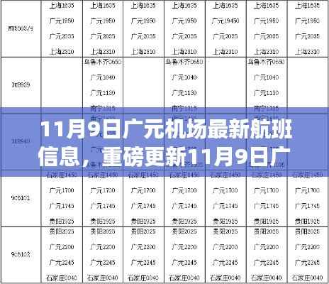 11月9日广元机场航班最新动态，揭秘最新航班信息一网打尽