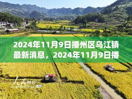 2024年播州区乌江镇发展与变迁的最新脉搏