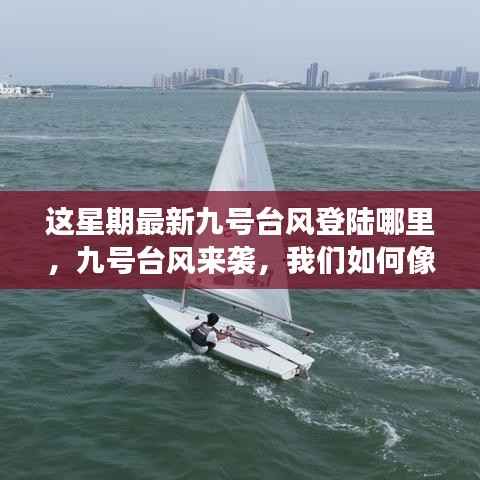 九号台风登陆地点揭秘,如何像学习变化一样拥抱挑战,扬帆起航迎接挑战