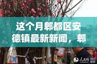 郫都区安德镇新篇章,变化中的学习力量,成就梦想的源泉