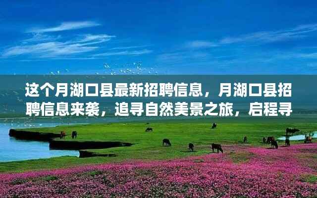 新闻中心 第372页