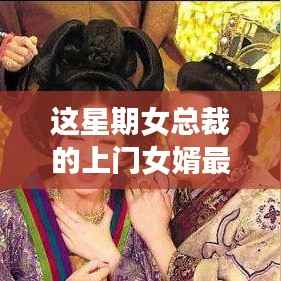 女总裁上门女婿任务攻略,本周完美达成指南
