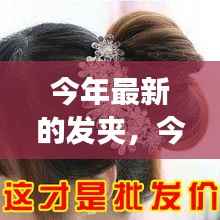 今年最新发夹潮流深度解析,背景、事件、影响与地位的探讨