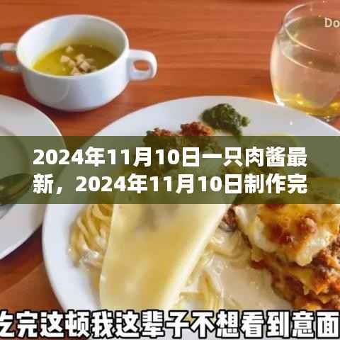 最新肉酱制作指南,从初学者到进阶用户的完美肉酱制作步骤(2024年11月10日更新)