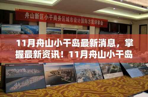 最新资讯解析,11月舟山小干岛动态全解析与任务指南