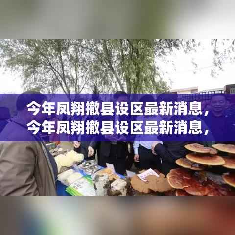 凤翔撤县设区最新动态，揭秘背后的故事与未来展望