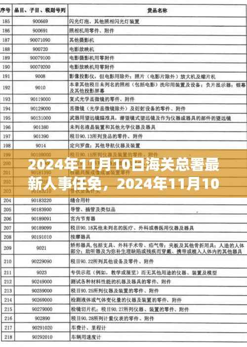 揭秘海关总署新任领导团队构成与期待，最新人事任免揭晓于2024年11月10日