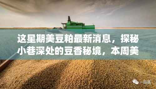 本周美豆粕最新消息与小巷美食小店的奇妙探秘之旅
