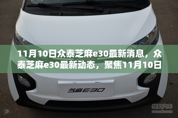 众泰芝麻e30最新动态及三大要点解析,聚焦11月10日最新消息