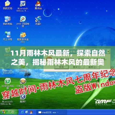 揭秘雨林木风最新奥秘,自然之美的探索(11月特别报道)