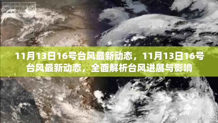 11月13日台风最新动态,全面解析台风进展与影响