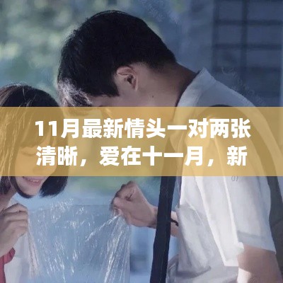 爱在十一月，新情头背后的温馨故事与最新情侣头像分享