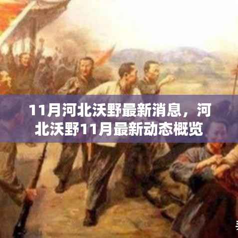 河北沃野11月最新动态概览，河北沃野十一月消息一览