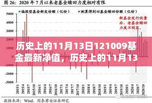 历史上的11月13日基金最新净值解读，市场趋势分析与动态展望（附基金净值报告）