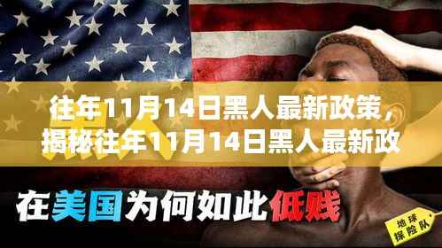 揭秘，往年11月14日黑人最新政策与巷弄深处的独特风情与隐藏小店介绍