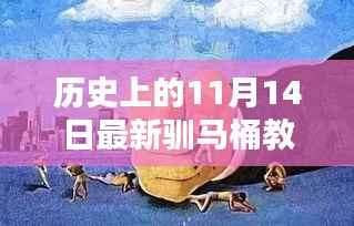 揭秘驯马桶教程,开启智慧生活新篇章的历史时刻(十一月十四日最新教程)