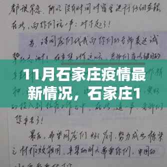 石家庄11月疫情最新动态及应对指南,关键步骤保护自身与社区安全