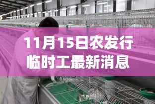 11月15日农发行临时工最新消息,农发行临时工最新动态,11月15日的行业焦点事件及其深远影响