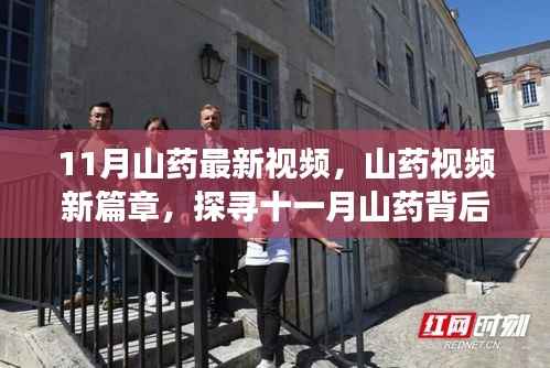 探寻十一月山药背后的故事与影响力,山药视频新篇章揭秘!