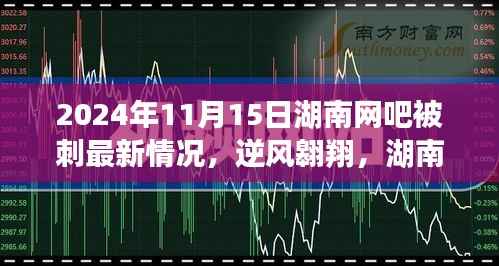 湖南网吧变迁下的励志故事,逆风翱翔开启智慧新篇章的最新进展(2024年11月15日)