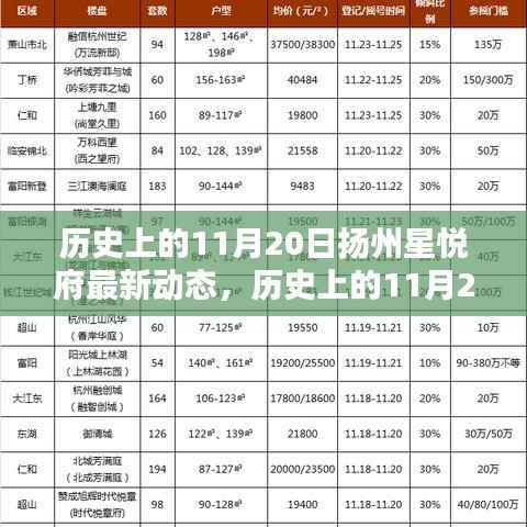 历史上的11月20日扬州星悦府最新动态,历史上的11月20日扬州星悦府最新动态——探访历程与活动指南