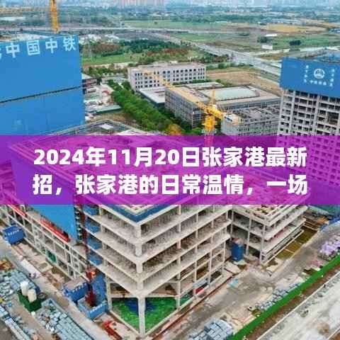 张家港招聘奇遇,温情日常与友情的绽放时刻(2024年11月20日)
