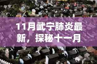 十一月武宁肺炎疫情揭秘,疫情之下的隐藏瑰宝