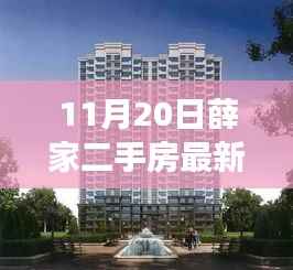薛家二手房市场深度解析与最新房源信息（11月最新更新）