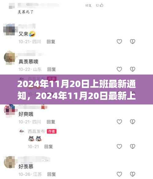 2024年11月20日最新上班通知，工作调整与准备事项详解