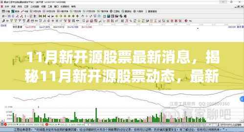 揭秘11月新开源股票动态与行业展望,最新消息及趋势分析