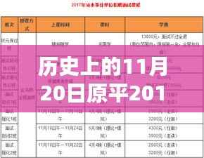 历史上的11月20日与最新原平市政府招聘指南,从初学者到进阶用户的参与流程