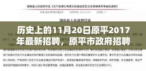历史上的11月20日与最新原平市政府招聘指南,从初学者到进阶用户的参与流程