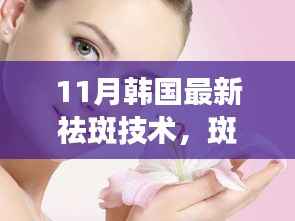 11月韩国最新祛斑技术,斑斓岁月中的新篇章,韩国最新祛斑技术带来的温馨故事