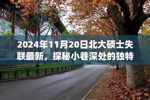 北大硕士失联背后的故事,探秘独特小店与小巷深处的秘密