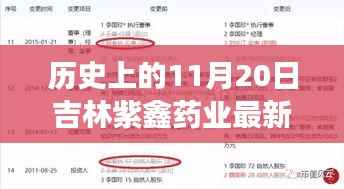 历史上的11月20日吉林紫鑫药业最新动态,探寻自然美景,心灵之旅启程
