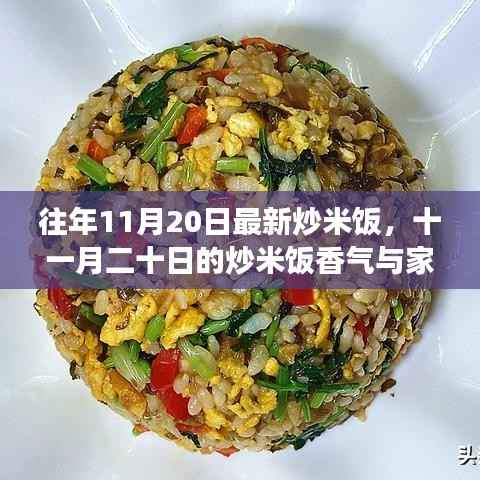 十一月二十日炒米饭的香气与家的温馨故事