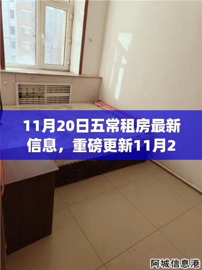 11月20日五常租房最新信息,重磅更新11月20日五常租房市场全新动态——你的理想房源在这里!