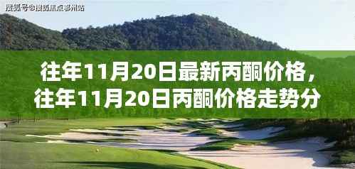 往年11月20日最新丙酮价格,往年11月20日丙酮价格走势分析