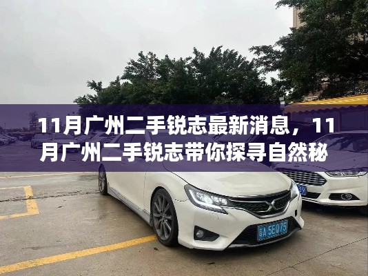 肝胆相照 第3页