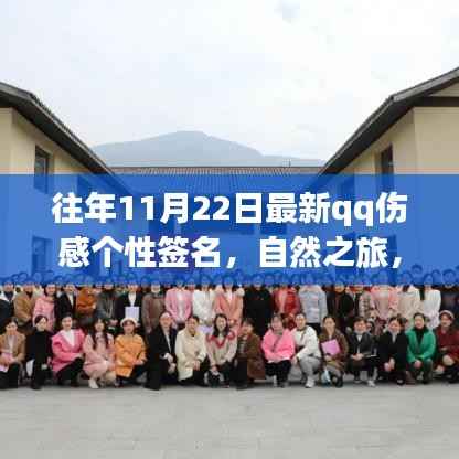 往年11月22日最新qq伤感个性签名，自然之旅，寻找内心的宁静港湾——一个QQ伤感签名背后的故事