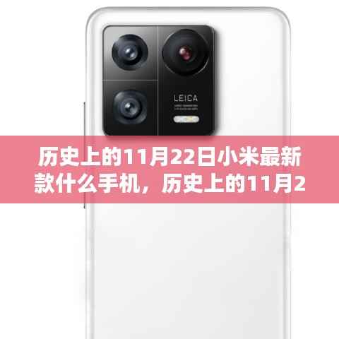 走马观花 第15页