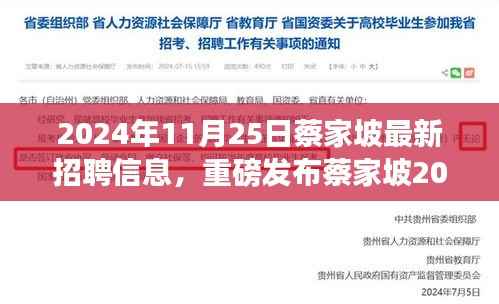 2024年11月25日蔡家坡最新招聘信息,重磅发布蔡家坡2024年最新科技招聘信息,引领未来职场新潮流,体验科技改变生活的无限魅力