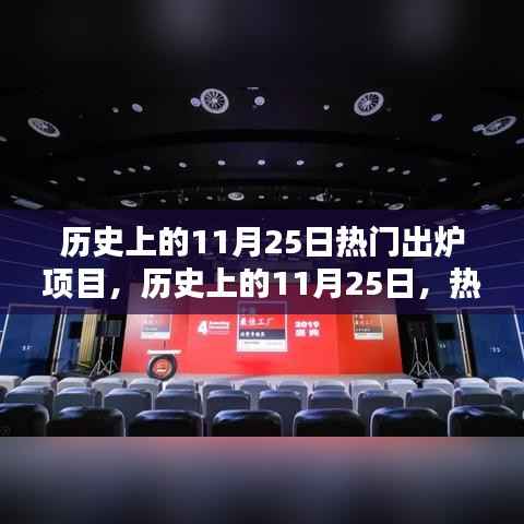 历史上的11月25日,热门出炉项目的多维度解析与观点分享