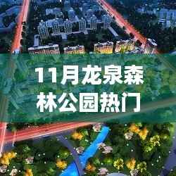 龙泉森林公园十一月热点聚焦,生态保护进步与争议引发关注