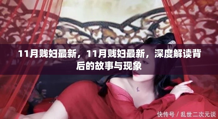 11月贱妇现象深度解读,背后的故事与探讨